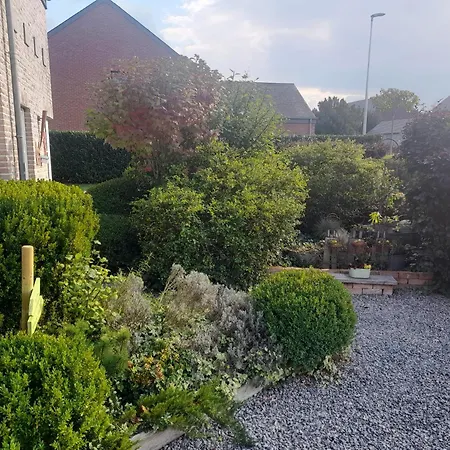 Histoire De Lola デュルビュイ