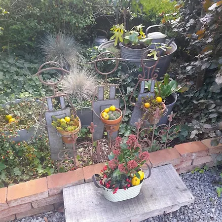 Histoire De Lola デュルビュイ